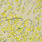 Ткань Designers Guild Shanghai Garden FDG2293/01