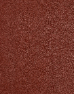 Ткань Houles Iggy/Iman 72706-9840