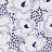 Ткань Duralee Eileen K. Boyd Vol.2 - Pewter, African Violet 21088/241