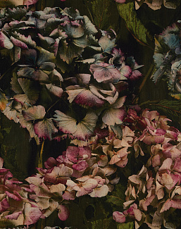 Ткань Zoffany Darnley 322661