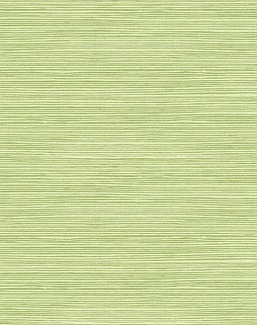 Обои Seabrook Tortuga TA21704