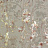 Обои York Antonina Vella - Modern Metals NW3584