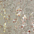 Обои York Antonina Vella - Modern Metals NW3584