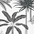 Обои Hookedonwalls Jungle Jive 36500