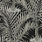 Обои Hookedonwalls Jungle Jive 36534