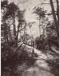 Панно и фотообои Eijffinger Lino 379100
