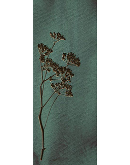 Панно и фотообои Eijffinger Lino 379104