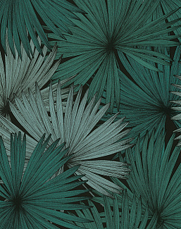 Обои Caselio Jungle JUN100047818