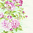Обои Seabrook Garden Rose RG60002