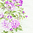 Обои Seabrook Garden Rose RG60009