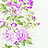 Обои Seabrook Garden Rose RG60009