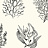 Обои York Carey Lind - Coastal Calm CM3357