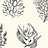 Обои York Carey Lind - Coastal Calm CM3357