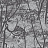 Обои Cole & Son Icons 112/8026