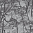 Обои Cole & Son Icons 112/8026