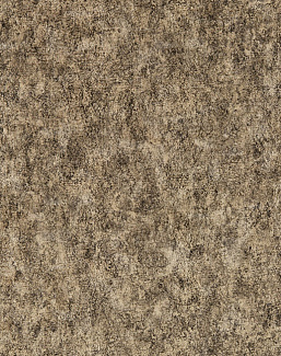 Обои Clarke & Clarke Expressions Performans ZW0208/03