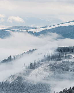 Панно и фотообои Ortograf Бесшовные обои и фрески ECO 34588