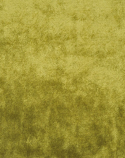 Ткань The Royal Collection Palace Damask FRC2400/01
