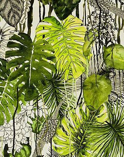 Ткань Christian Lacroix Belles Rives Prints And Weaves FCL038/02