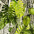 Ткань Christian Lacroix Belles Rives Prints And Weaves FCL038/02
