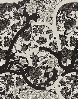 Ткань Christian Lacroix Belles Rives Prints And Weaves FCL046/01