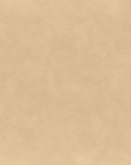 Обои Casamance La Chaux B75495202