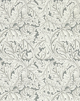 Обои Clarke & Clarke William Morris Designs W0175/02