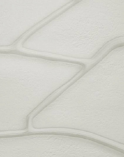 Обои Wall & Deco Essential Wallpaper Collection 2023 23110EWC