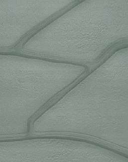 Обои Wall & Deco Essential Wallpaper Collection 2023 23130EWC