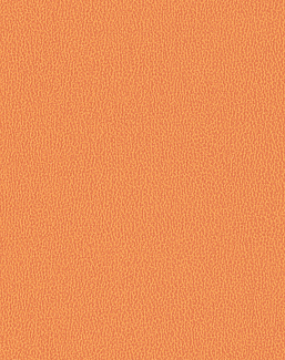 Обои Texdecor Acoustic Vinyl Wallcoverings 2 DUNE90230754