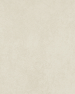 Обои Texdecor Acoustic Textile Wallcoverings 2 EOSN92620223