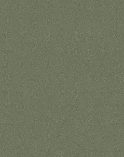 Обои Borastapeter Pigment 2023 7581