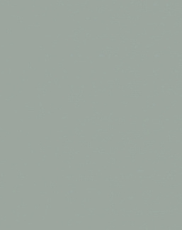 Обои Borastapeter Pigment 2023 7557