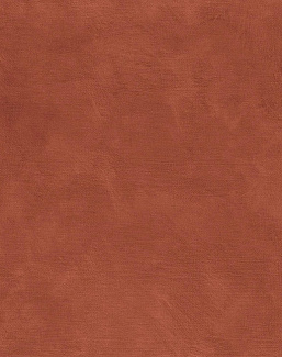Обои Casamance Select VIII C75492854