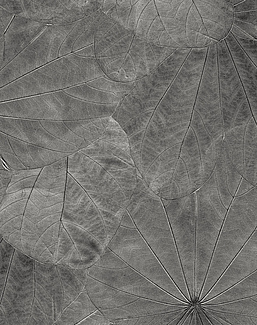 Панно и фотообои Italreflexes Macro Leaves-001/Slate
