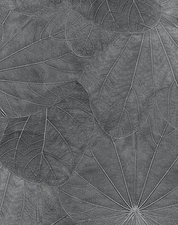 Панно и фотообои Italreflexes Macro Leaves-001/Silver