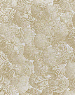 Панно и фотообои Italreflexes Macro Shell-002/Gypsum