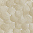 Панно и фотообои Italreflexes Macro Shell-002/Gypsum