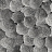 Панно и фотообои Italreflexes Macro Shell-002/Slate