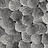 Панно и фотообои Italreflexes Macro Shell-002/Slate