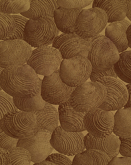 Панно и фотообои Italreflexes Macro Shell-002/Gold