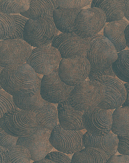 Панно и фотообои Italreflexes Macro Shell-002/Copper
