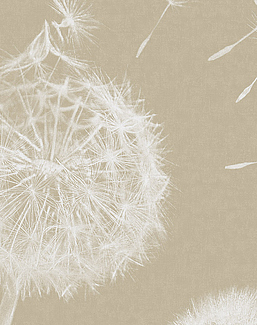 Панно и фотообои Italreflexes Macro Taraxacum-003/Gypsum
