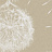 Панно и фотообои Italreflexes Macro Taraxacum-003/Gypsum