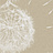 Панно и фотообои Italreflexes Macro Taraxacum-003/Gypsum