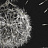 Панно и фотообои Italreflexes Macro Taraxacum-003/Slate