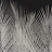 Панно и фотообои Italreflexes Macro Palm-004/Slate