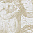 Панно и фотообои Italreflexes Macro Sagittarius-006/Gypsum