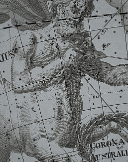 Панно и фотообои Italreflexes Macro Sagittarius-006/Silver