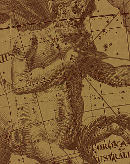 Панно и фотообои Italreflexes Macro Sagittarius-006/Gold